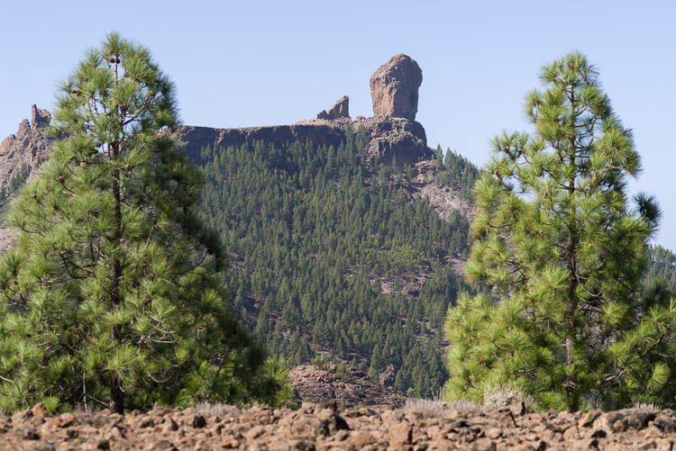 Roque Nublo